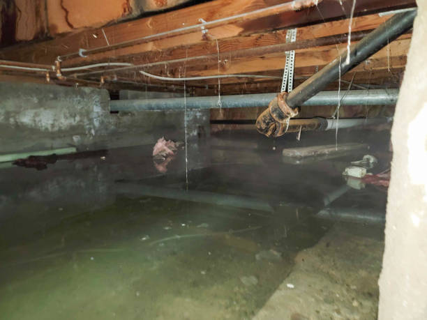 Reliable Hudson Oaks, TX Water damage restoration Solutions