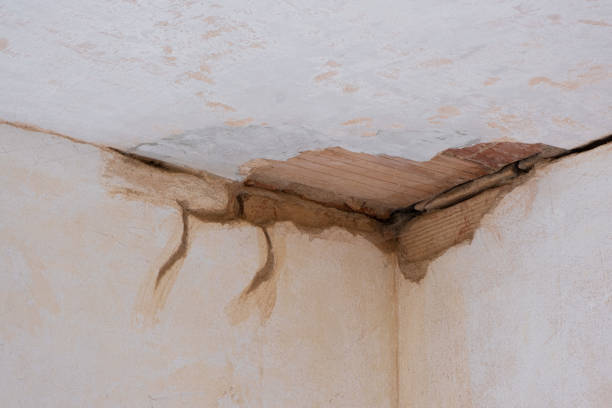 Best Water damage restoration mold remediation  in Hudson Oaks, TX