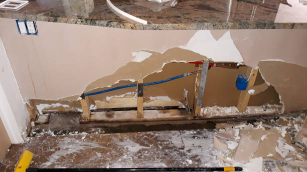 Best Mold removal after water damage  in Hudson Oaks, TX