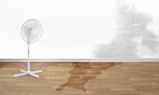 Best Basement water damage restoration  in Hudson Oaks, TX