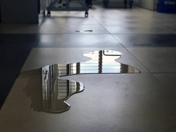 Best Carpet water damage restoration  in Hudson Oaks, TX