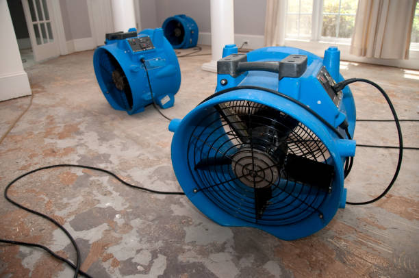 Best Flood damage cleanup  in Hudson Oaks, TX