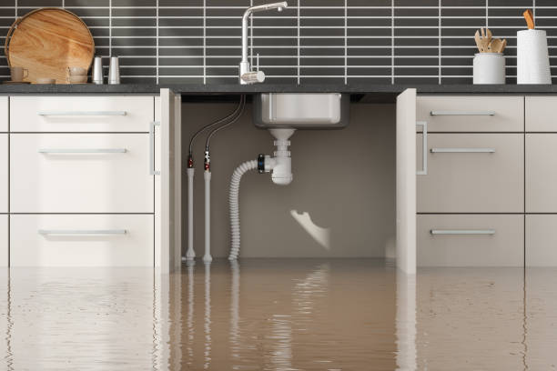Best Residential water damage restoration  in Hudson Oaks, TX